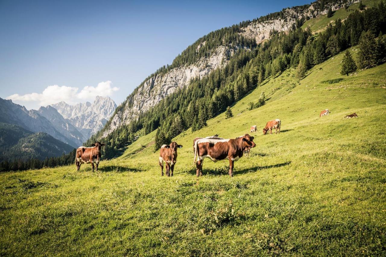 Ferienwohnung Im Gaestehaus Sieger-Brandner Ramsau bei Berchtesgaden Extérieur photo